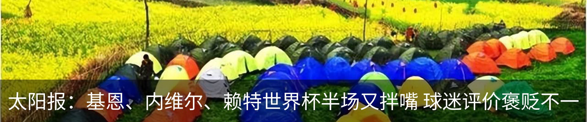 最新动态