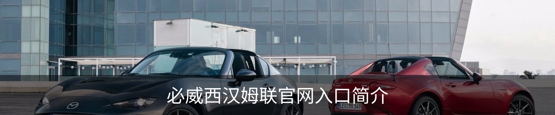 必威西汉姆联官网入口简介